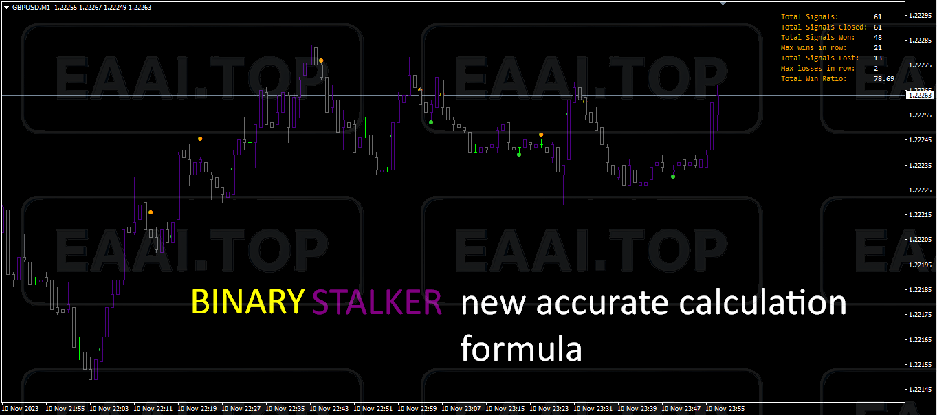 Binary Stalker 破限版_EAAI.TOP_EA分享网_交易学习APP_EA交易爱好者联盟
