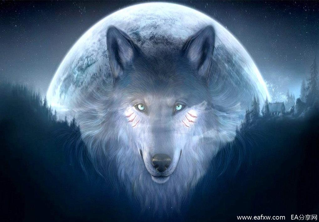 awesome-anime-wolf-backgrounds-cool-fire-wolf-backgrounds.jpg